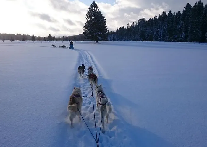 Vent_du_nord Lejlighed Tramelan